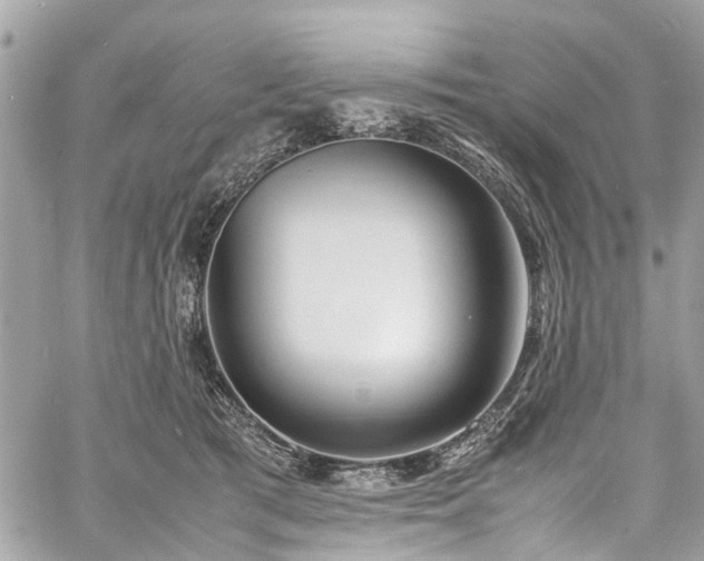 X0000060750417200511141204