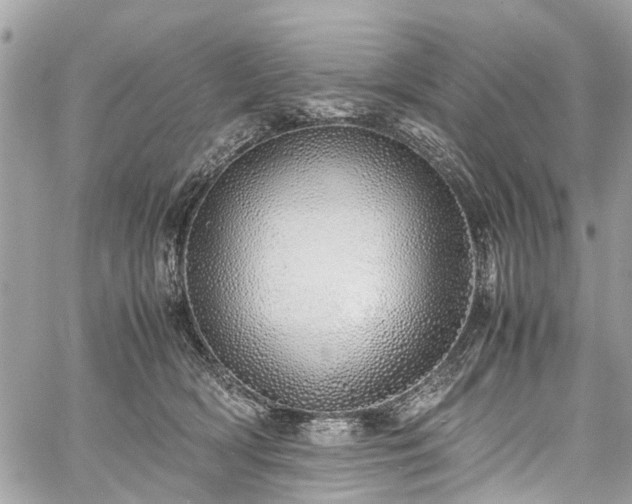 X0000060750418200511141204