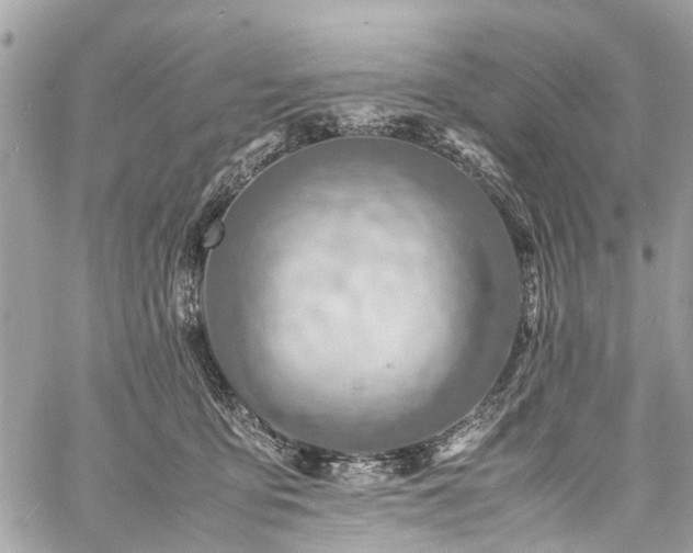 X0000060750419200511141204