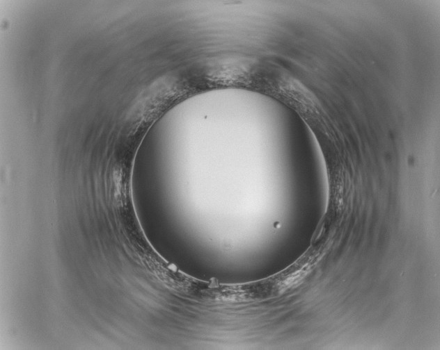 X0000060750420200511141204