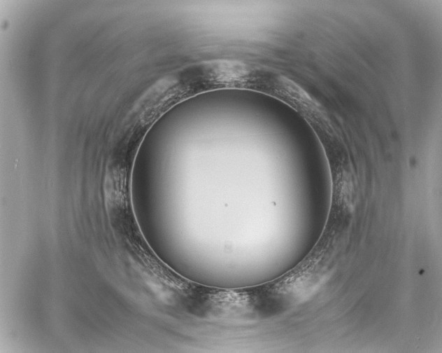 X0000060750421200511141204