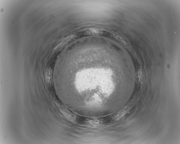 X0000060750423200511141204