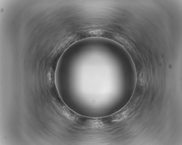 X0000060750424200511141204