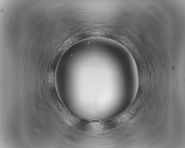 X0000060750425200511141204