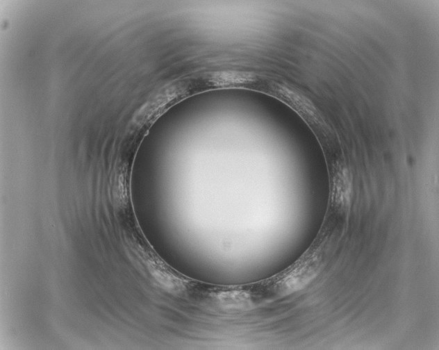 X0000060750426200511141204