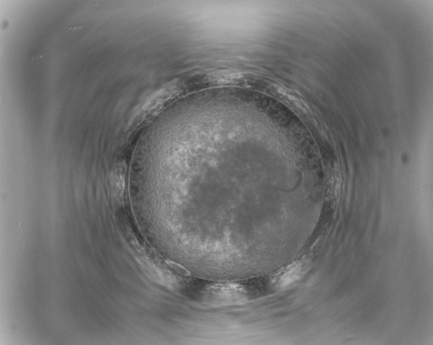 X0000060750427200511141204