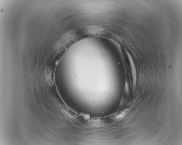 X0000060750428200511141204