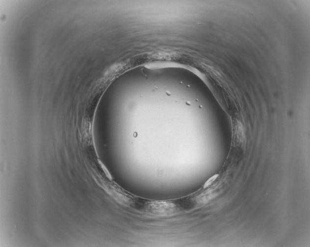 X0000060750429200511141204