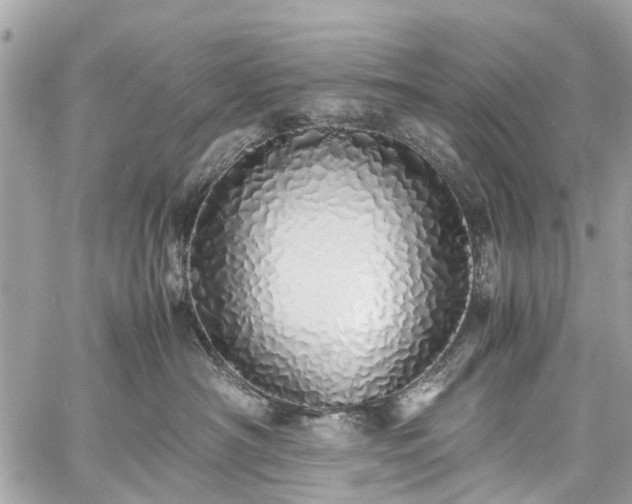 X0000060750430200511141204