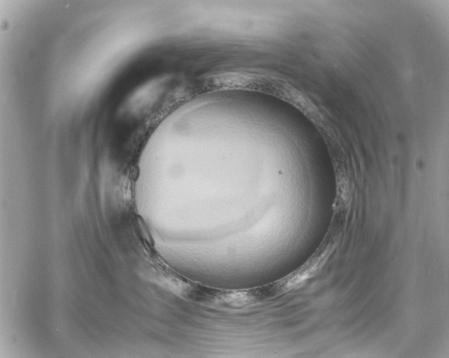 X0000060750431200511141204