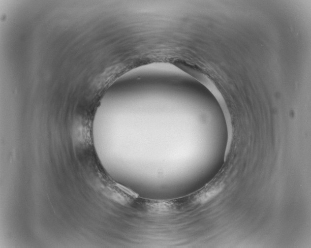 X0000060750432200511141204