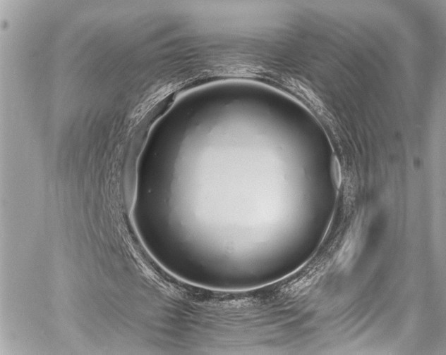 X0000060750433200511141203