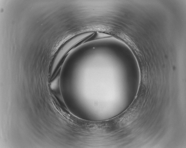 X0000060750434200511141203