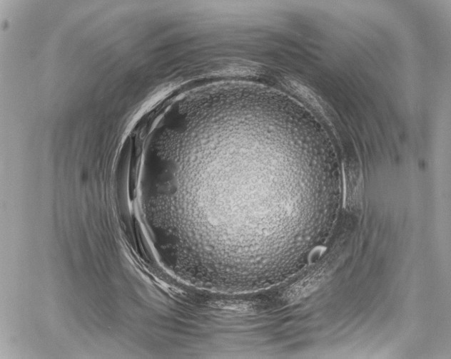 X0000060750435200511141203