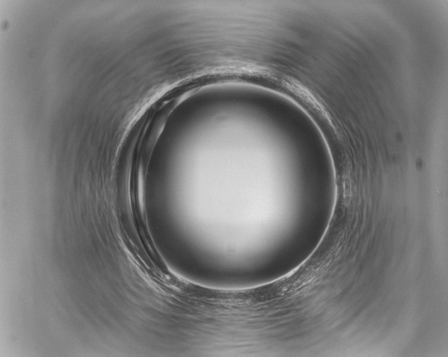 X0000060750436200511141203