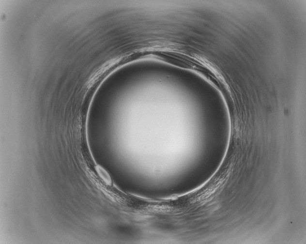 X0000060750437200511141203