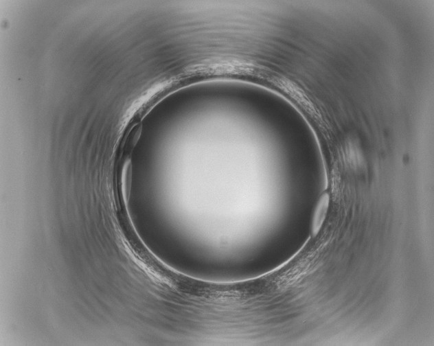 X0000060750438200511141203