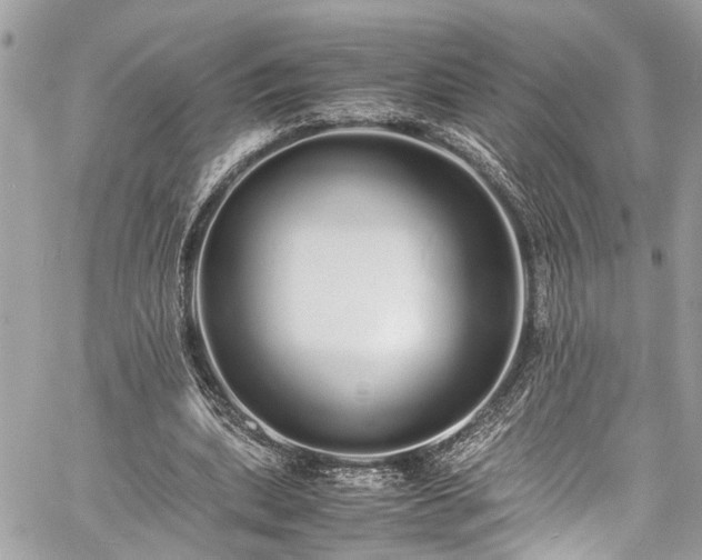 X0000060750439200511141203