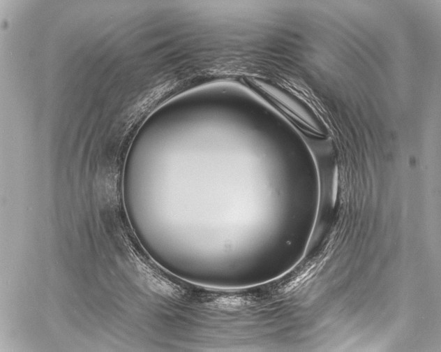 X0000060750441200511141203