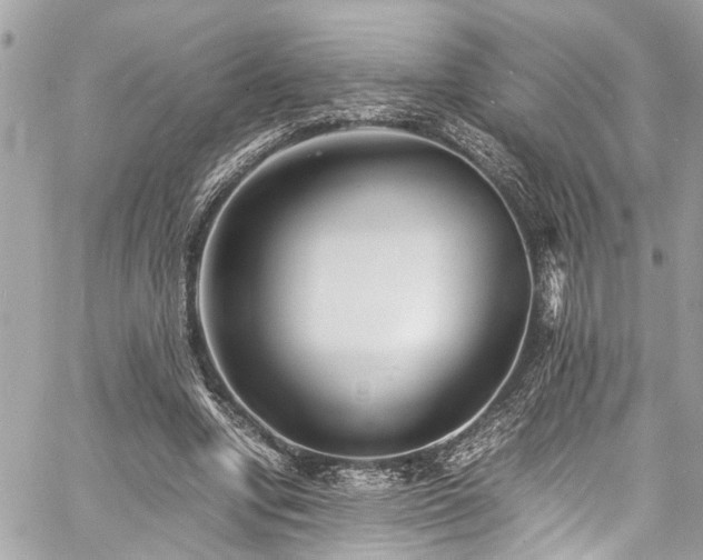 X0000060750442200511141203