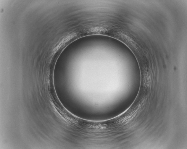 X0000060750443200511141203