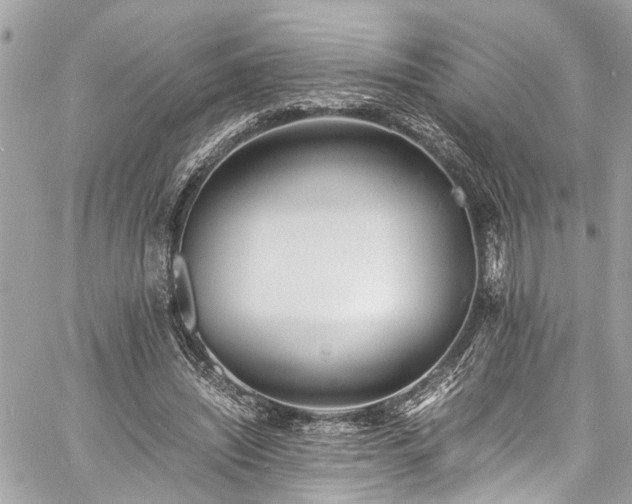 X0000060750444200511141203