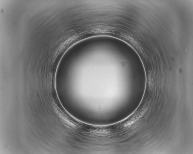 X0000060750445200511141203