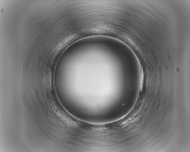 X0000060750446200511141203