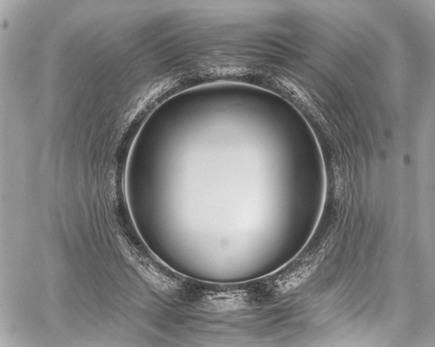 X0000060750447200511141203