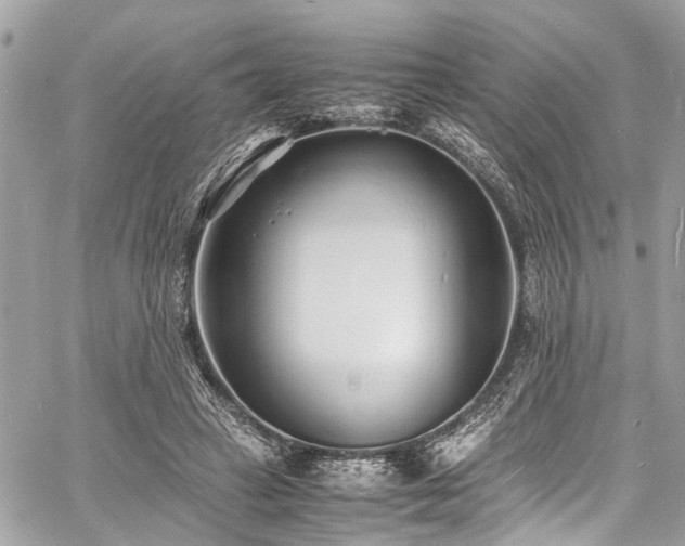 X0000060750449200511141203