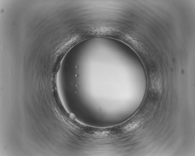 X0000060750450200511141203