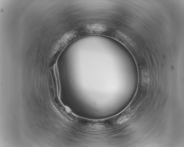 X0000060750451200511141203