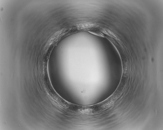 X0000060750452200511141203