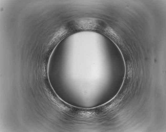 X0000060750453200511141203