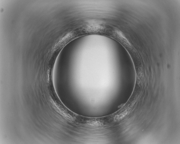 X0000060750454200511141203