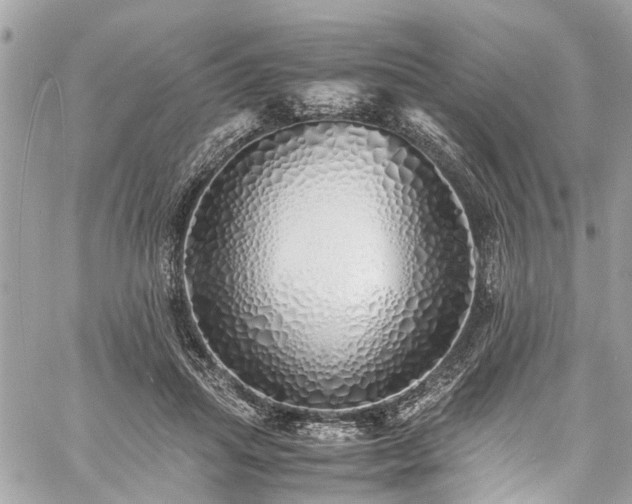 X0000060750455200511141203