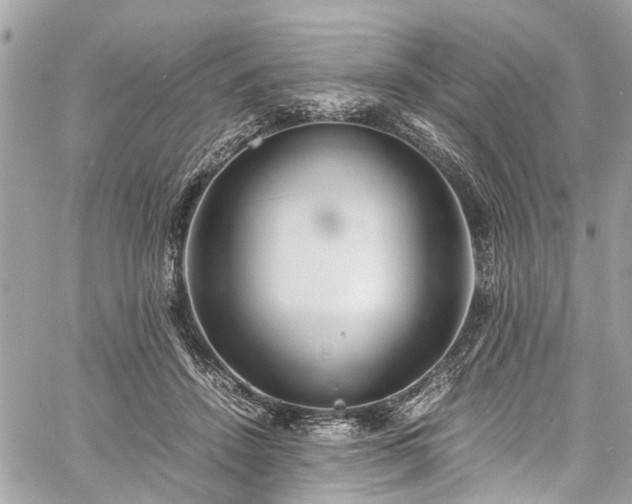 X0000060750456200511141203