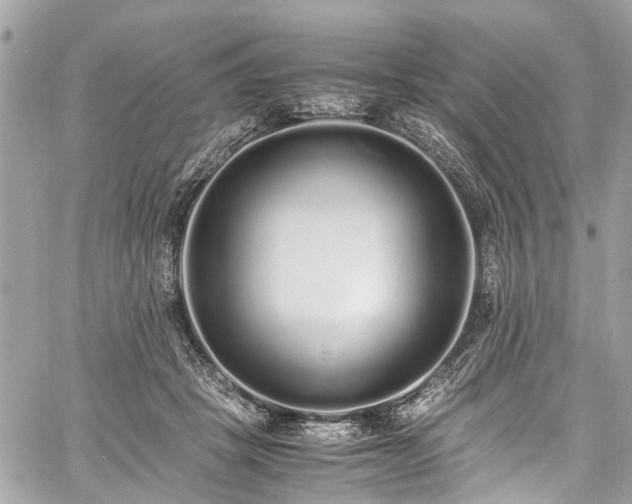 X0000060750457200511141203