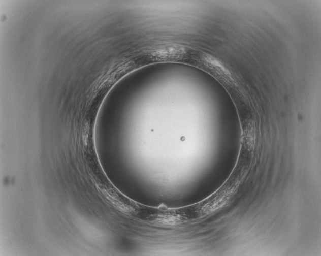 X0000060750458200511141203