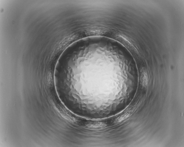 X0000060750459200511141203