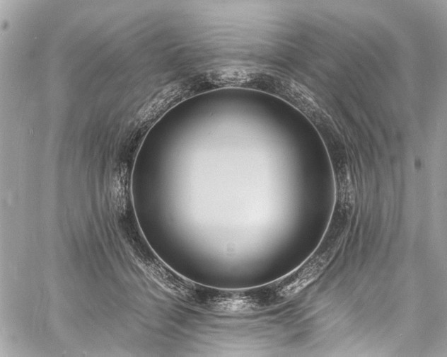 X0000060750460200511141203