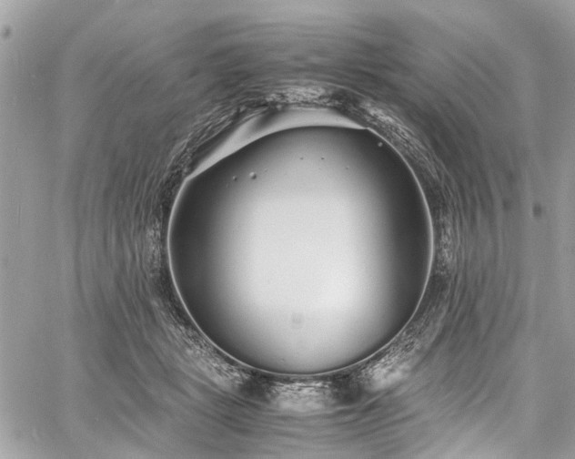 X0000060750461200511141203