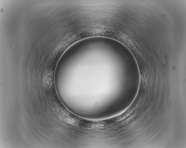 X0000060750462200511141203