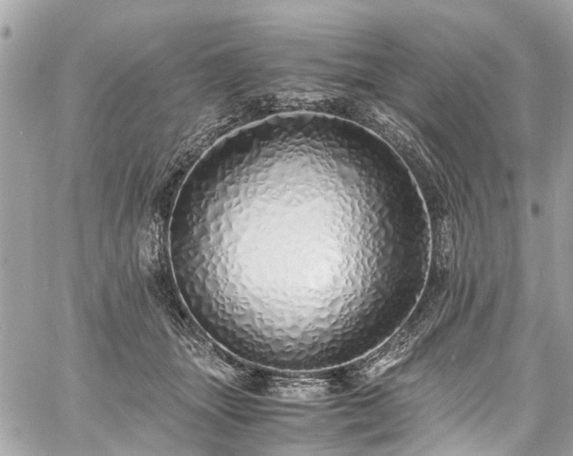 X0000060750463200511141203