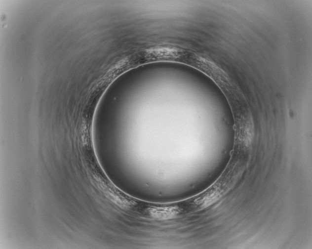 X0000060750465200511141203