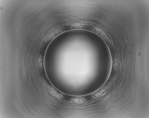 X0000060750466200511141203