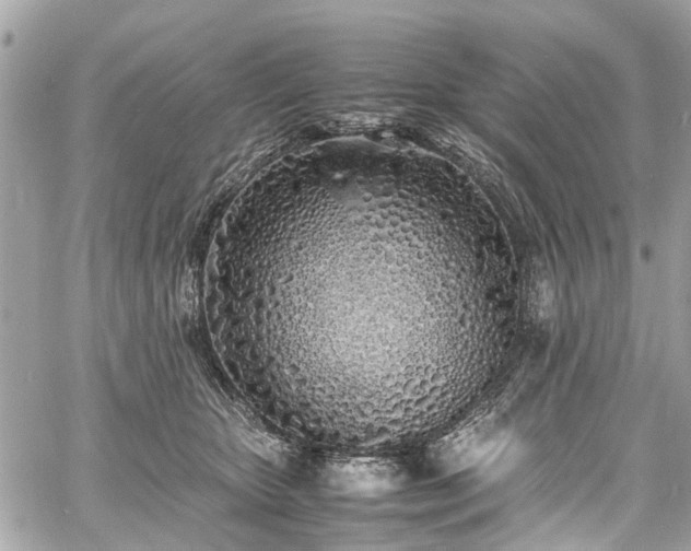 X0000060750467200511141203