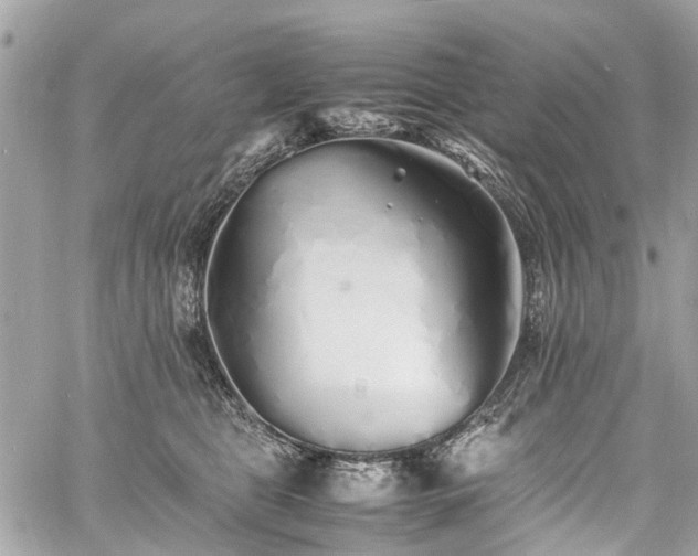 X0000060750469200511141203