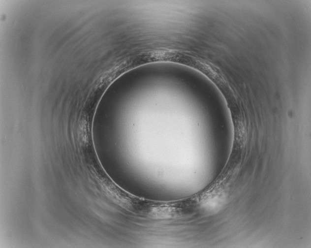 X0000060750470200511141203