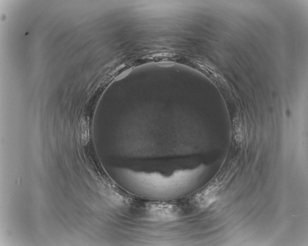 X0000060750471200511141203